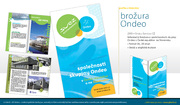 grafika brožury Ondeo - Brožura Ondeo.jpg